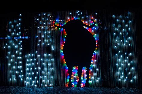 Alexander Chamas Photography: Wild Lights at the Woodland Park Zoo