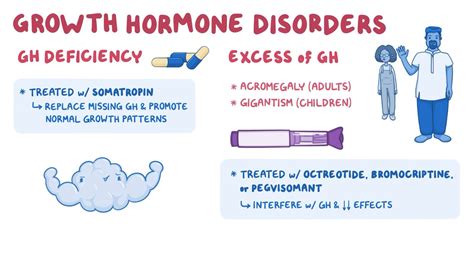 Growth Hormone
