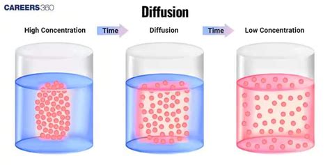 Diffusion - Definition, Types, Causes, Factors, Examples & Significance