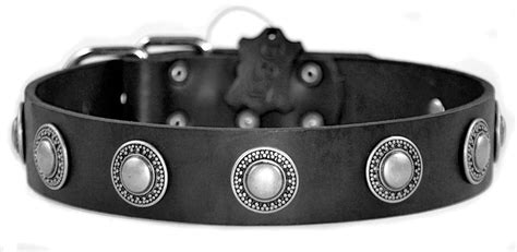 Buy Dean and Tyler "SIMPLE TREASURE", Leather Dog Collar with Solid ...