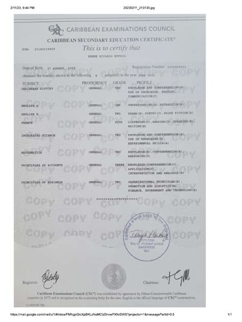 Image result for Examples of Reports CSEC