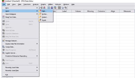 How to Import File in SPSS 的图像结果