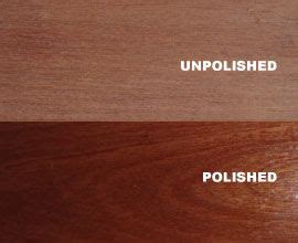 25kg Red Meranti Hardwood Supplier from Delhi