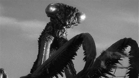 The Deadly Mantis (1957) - Backdrops — The Movie Database (TMDB)