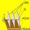 draw a labelled diagram of an experiment to show rectilinear ...