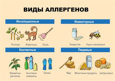 Аллергии - причины появления, симптомы заболевания, диагностика и ...