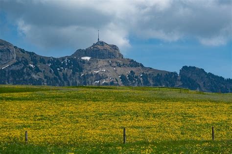 HOTEL-RESTAURANT BLAUE KRONE (Bruelisau) - Guesthouse Reviews & Photos ...