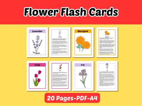 Spring FlashCards 的图像结果