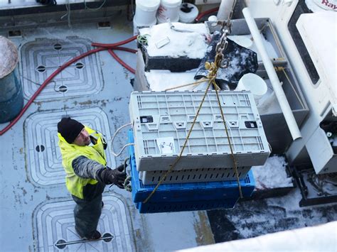 Maine Lobster Season: When to Enjoy the Freshest Lobster