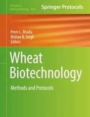 Springer Nature Experiments 的图像结果