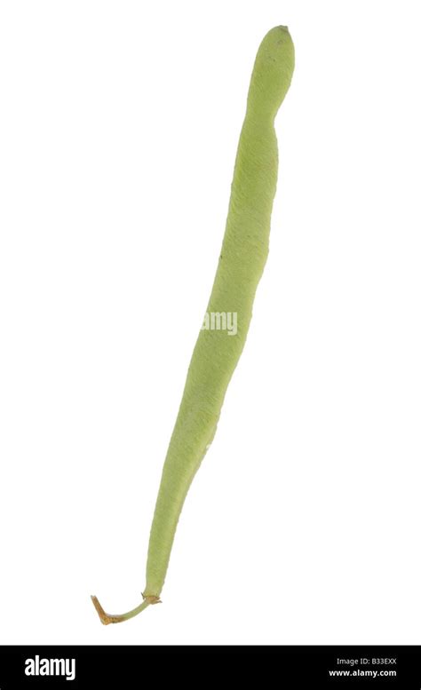 How to Cook and String Runner Beans 的图像结果