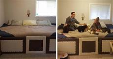 amici di letto megavideo coppia con 5 gatti e 2 cani amano tutti dormire insieme amici di letto megavideo coppia con 5 gatti e 2 cani amano tutti dormire insieme