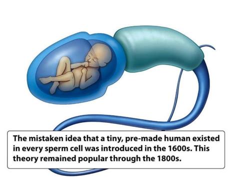 Image result for Spring Inheritance