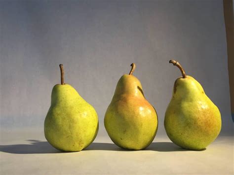 Image result for Overlapping Shapes Paint Mixing