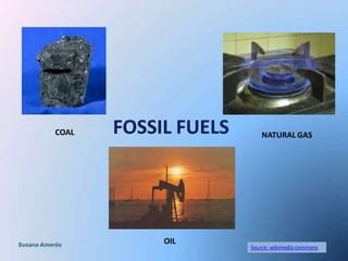 Fossil Fuels Source 的图像结果