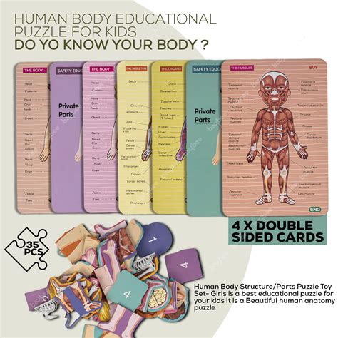 Baybee Wooden Human Body Parts Structure Jigsaw Puzzle Set for Kids To ...