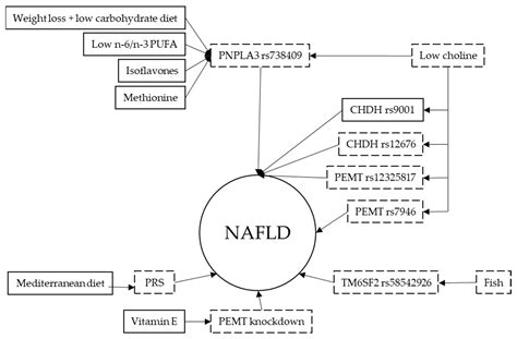 Nutritional Genomics in Nonalcoholic Fatty Liver Disease