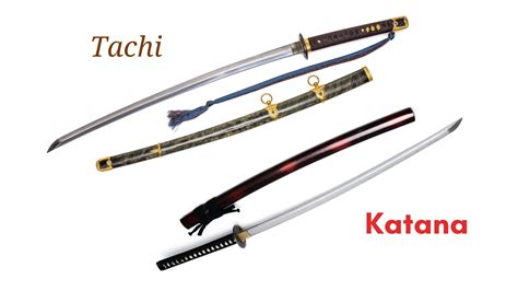 Tachi vs Katana: What’s the Real Difference?