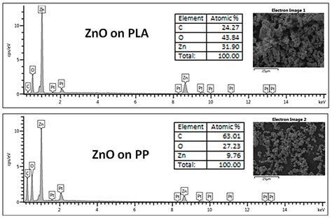 Biodegradation and Antimicrobial Properties of Zinc Oxide–Polymer ...