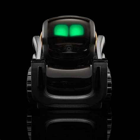 Vector Robot 的图像结果