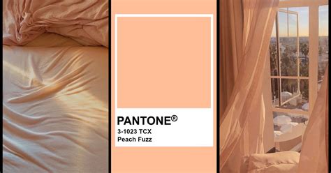 Как pantone задал тренд на психическое здоровье? — Teletype