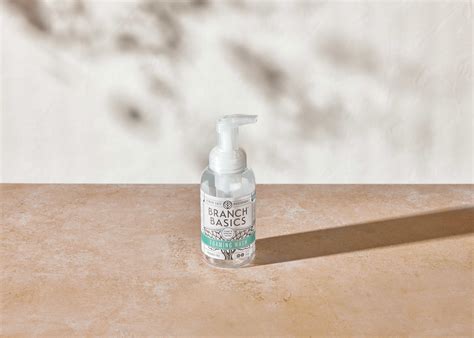 6 Natural Alternatives to Dish Soap & Dishwasher Detergent | Branch Basics