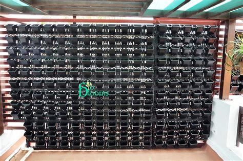 BIO BLOOMS AGRO INDIA PRIVATE LIMITED Plastic Hanging Pot -Blackcolour ...