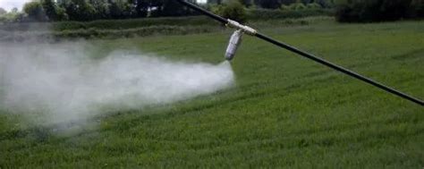 Centrifugal Pump - Centrifugal Pump Ss 316 Manufacturer from Ahmedabad