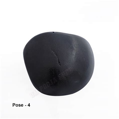 Buy Krishna Original Shaligram Stone