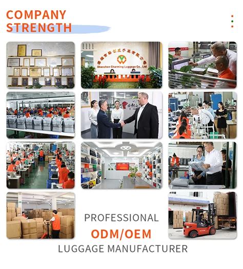 OEM Computer Bag 的图像结果