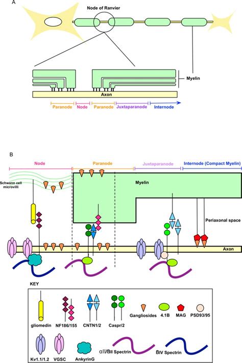 Image result for Design of a Basic Computer
