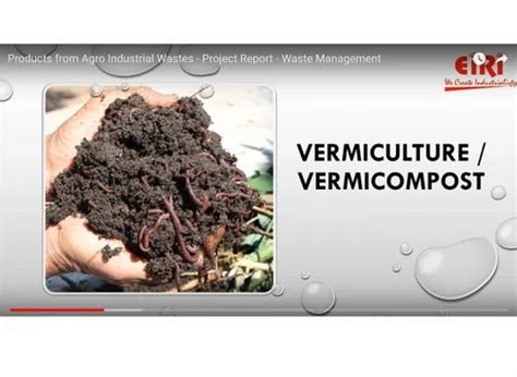 Pharmaceutical Industry Based Project Reports - Project Report of ...