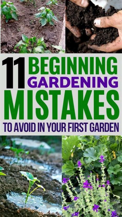 Space Between Plants 的图像结果