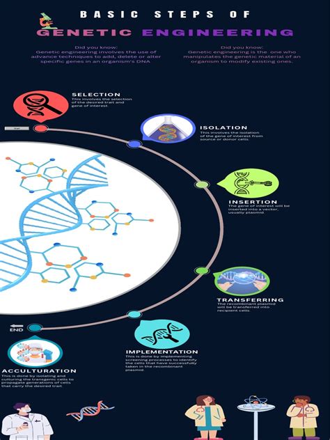 Image result for Define Genetic Engineering