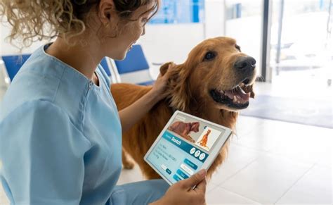 Image result for Vet Tutorial