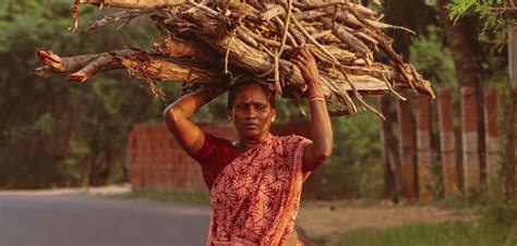 The Rise in Female Labour and Work Force Participation Rates | The ...