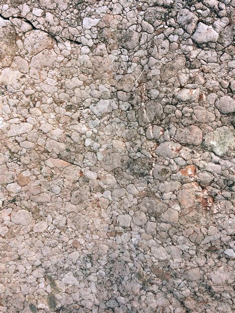 Earth No Background 的图像结果