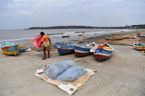Thane: Duo Denies Dry Fish Payments Of Over ₹51 Lakh To Uttan Fisher ...