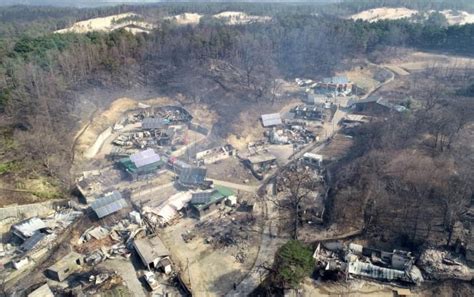 South Korea declares national emergency as winds fan giant forest fires ...