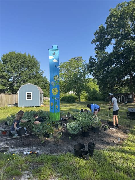 Eyes to the Sky - Building Chimney Swift Towers in Coastal North ...