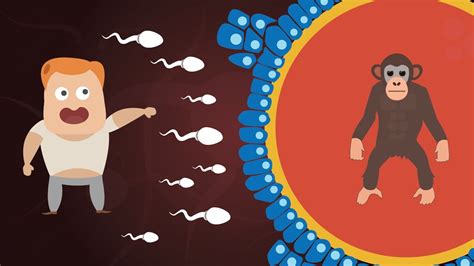 Image result for How Do Humans Mate Images