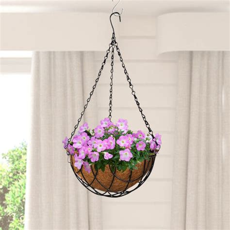 Buy Hanging Pots, Planters Online in India | Hanging Flower Pots for ...