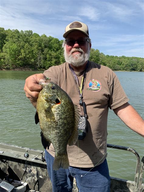 Image result for Fishing Shellcrackers