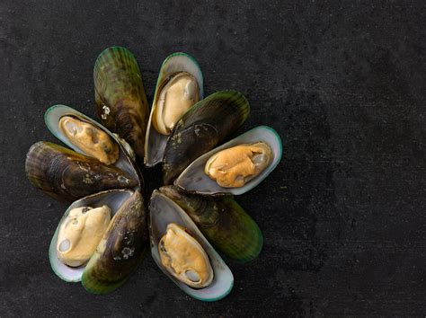 New Zealand Mussels — MARKFOODS