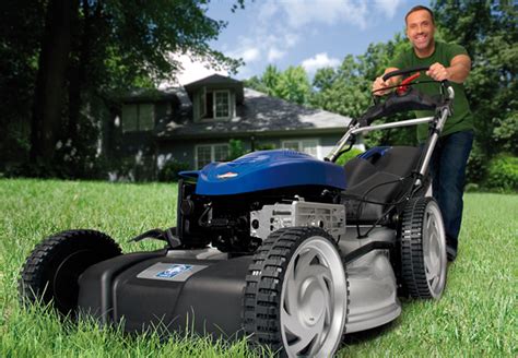 OBI   Realizzare il prato