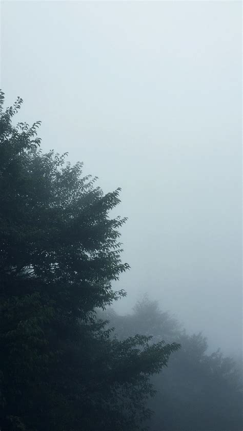 雾|摄影|风光摄影|周嘉_ - 原创作品 - 站酷 (ZCOOL)