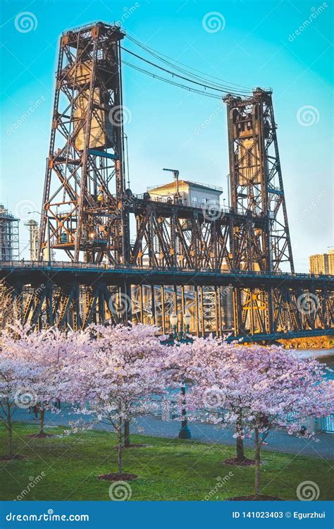 Steel Bridge Portland, or Cherry Blossom Trees Stock Image - Image of ...