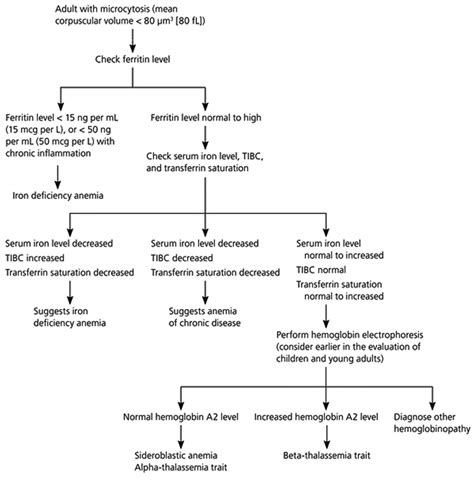 MCH Blood Test - Normal Range, Low and High MCH
