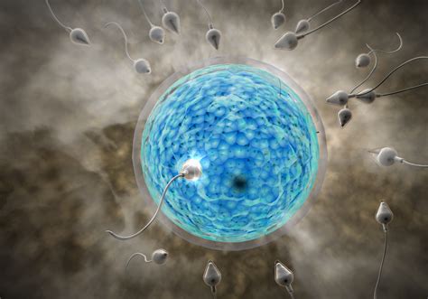 Finally, First Hormone-Free Male Birth Control Pill Shown Safe In Early ...