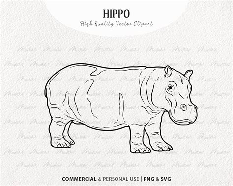 Hippo Face Clipart Black And White Cars